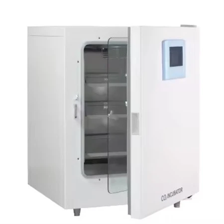 Laboratory Bacteria Microorganism Laboratory Bacteria Microorganism